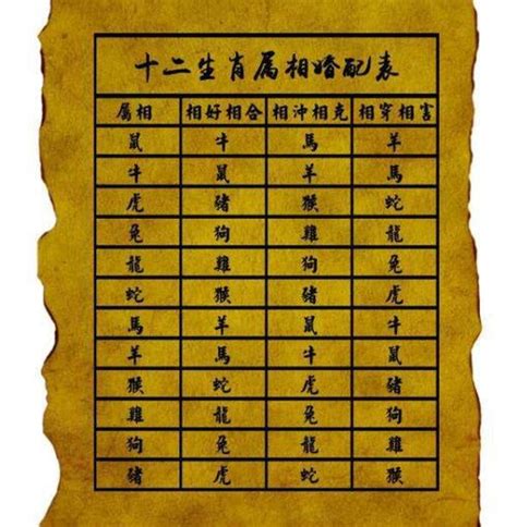 94年生肖|1994年属什么生肖 和什么属相婚配最合适